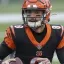 Photo of Brandon Allen for fantasy football